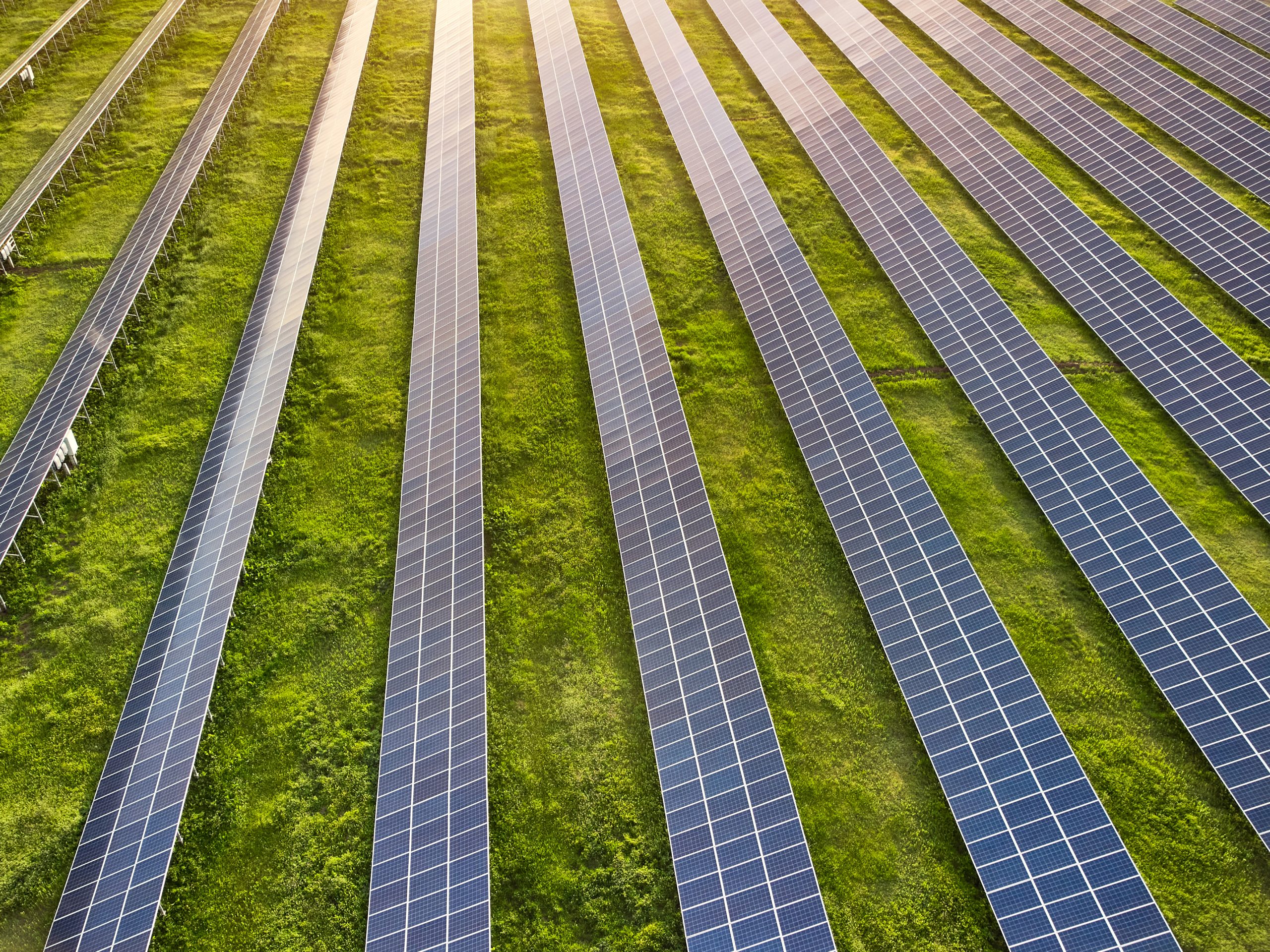 Solar for Forests Project